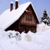 Leden 2012 12