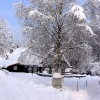 Leden 2012 18