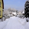 Leden 2012 14