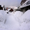 Leden 2012 8