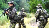 Airsoft