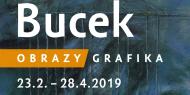 Obrazy Luboš Bucek